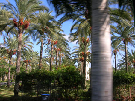 Alexandria8